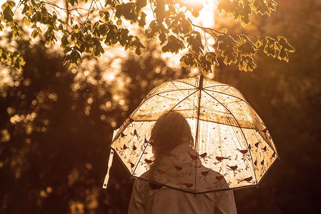 夕日と雨傘