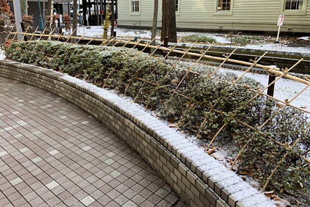 淡雪の街角