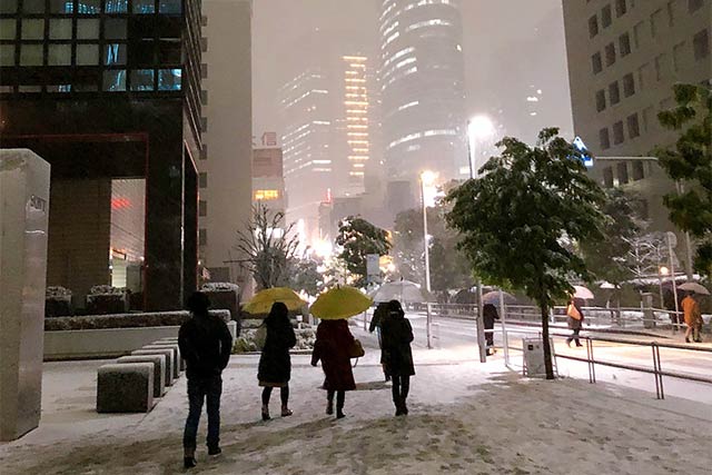 都心に降る雪